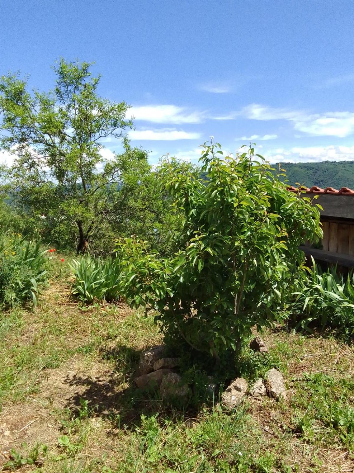 Gites De Revirand Sarras المظهر الخارجي الصورة