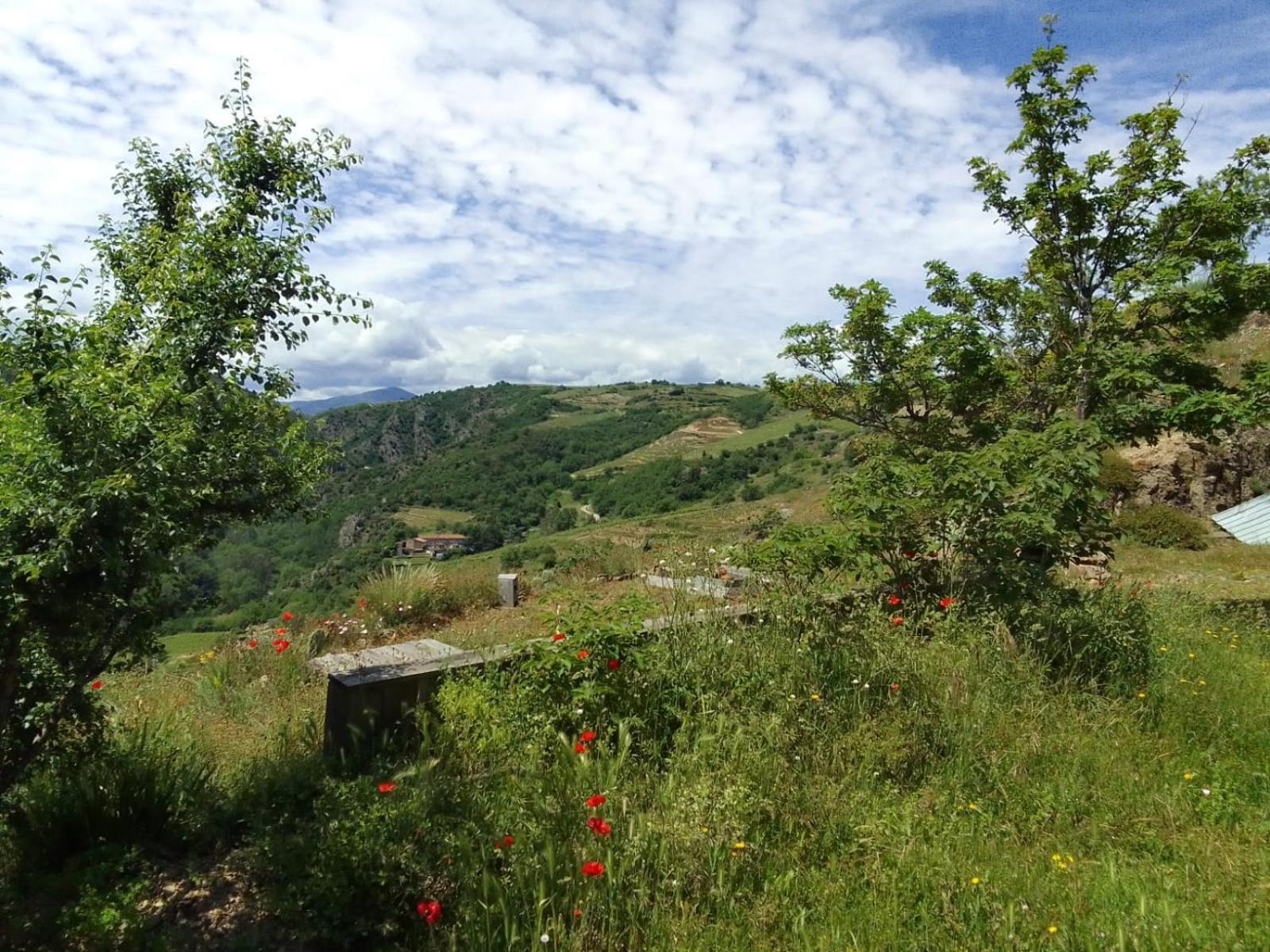 Gites De Revirand Sarras المظهر الخارجي الصورة